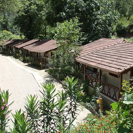 Eco Family Park Hotel Beskonak Esterno foto