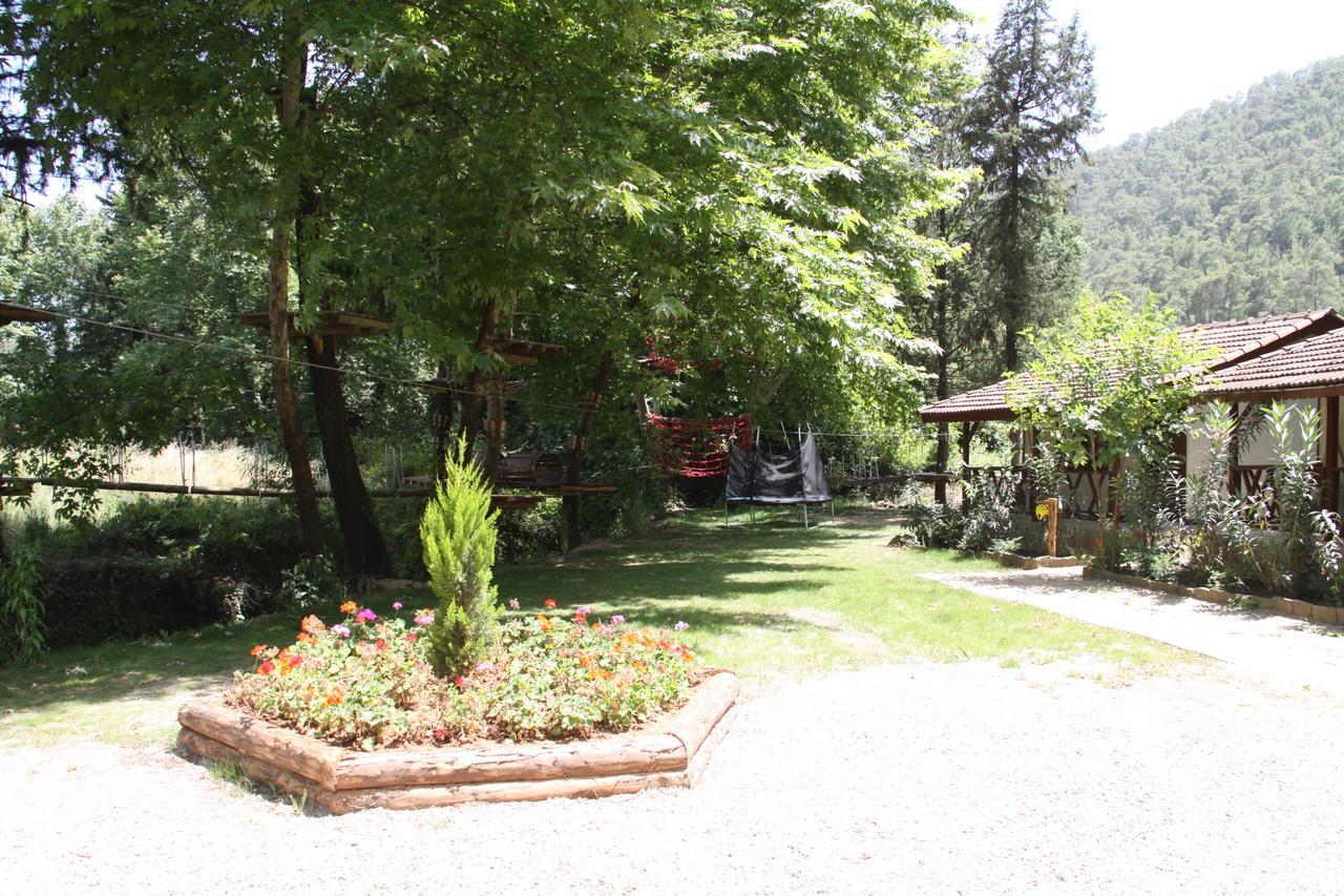 Eco Family Park Hotel Beskonak Esterno foto