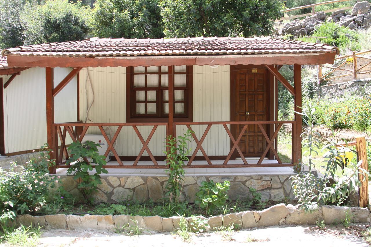 Eco Family Park Hotel Beskonak Camera foto