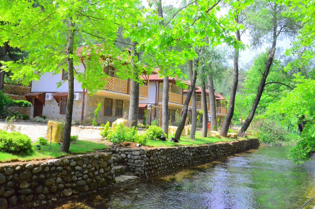 Eco Family Park Hotel Beskonak Esterno foto